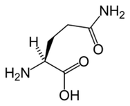 L-glutamiini Keto Diet ssä